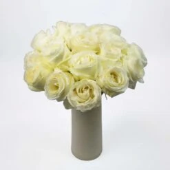 Proud White Rose -Garden of Petals white rose flowers diy wedding 79 4453 l 139c15a2 feae 476a 923d f2fce4e22446